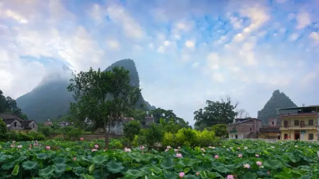 清塘镇东平村(国家森林乡村) - 毓秀钟山旅游网